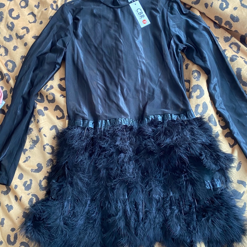 Mock neck. Feathers. Mesh. Party dress!